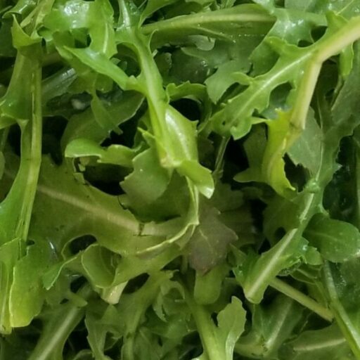 Is It Low Histamine? The Guide to Histamine Intolerance.