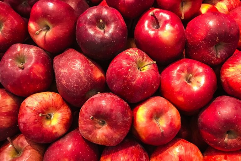 15 Low Histamine Fruits To Snack On is-pumpkin-low-histamine