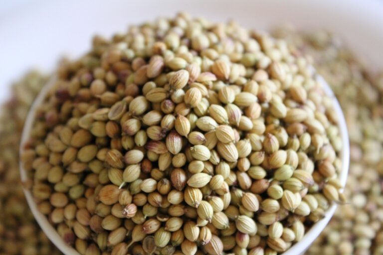 Is Coriander Seed Low Histamine?